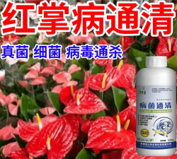 小众送妈妈的花有哪些花