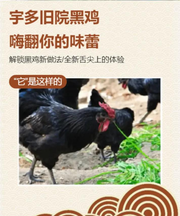 旧院黑鸡怎么吃