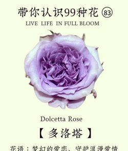 小众送妈妈的花有哪些花