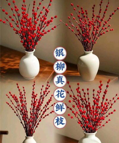 小众送妈妈的花有哪些花