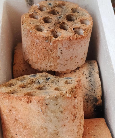 小众送妈妈的花有哪些花