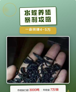 养水蛭利润怎么样