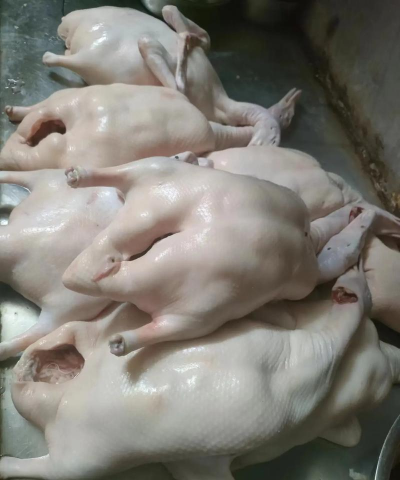 小众送妈妈的花有哪些花