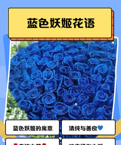 小众送妈妈的花有哪些花