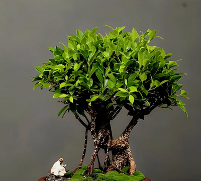 小众送妈妈的花有哪些花