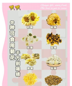 小众送妈妈的花有哪些花