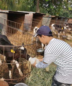 小众送妈妈的花有哪些花