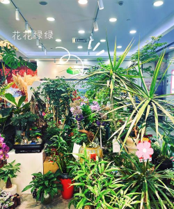 小众送妈妈的花有哪些花