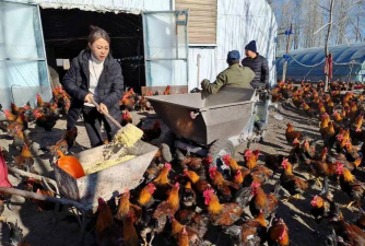 小众送妈妈的花有哪些花