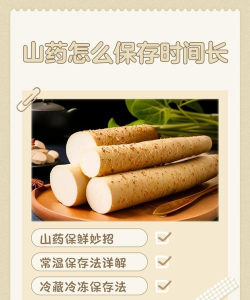 山药什么时候起