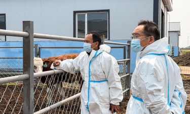 小众送妈妈的花有哪些花