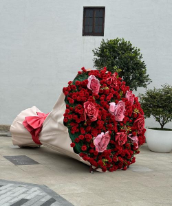 小众送妈妈的花有哪些花