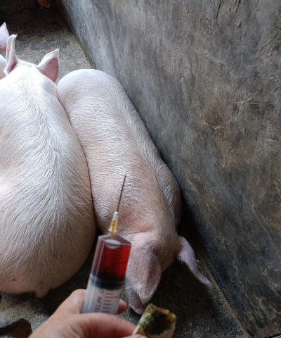 小众送妈妈的花有哪些花