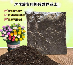 小众送妈妈的花有哪些花