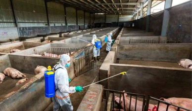 小众送妈妈的花有哪些花