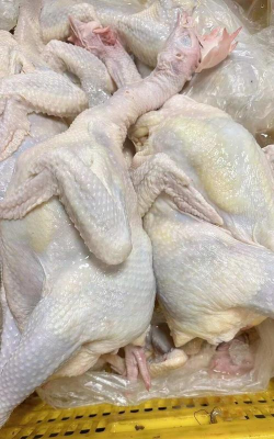 小众送妈妈的花有哪些花