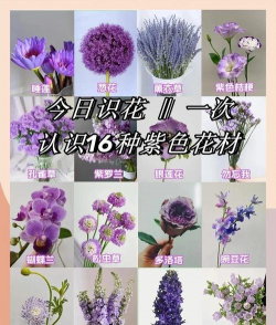 小众送妈妈的花有哪些花