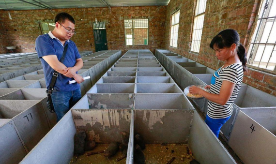 小众送妈妈的花有哪些花