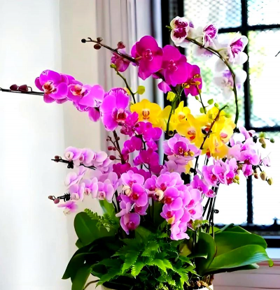 小众送妈妈的花有哪些花