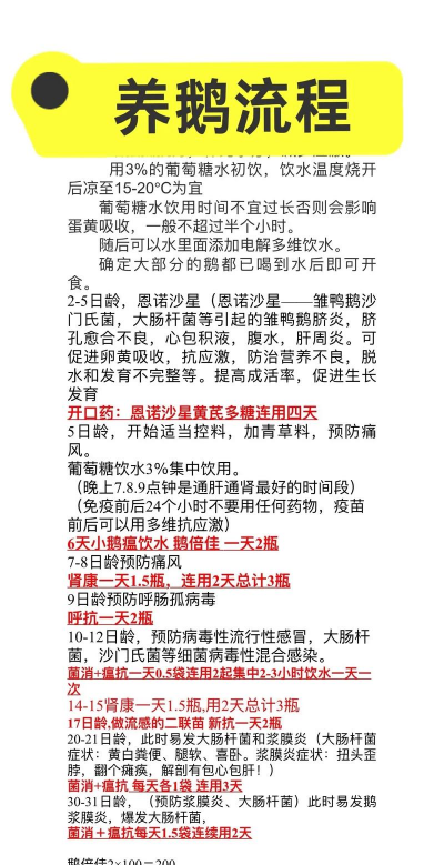 养鹅要什么条件 养鹅要什么条件