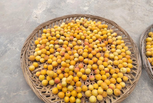 小众送妈妈的花有哪些花