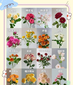 小众送妈妈的花有哪些花