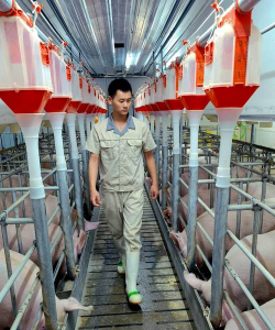 小众送妈妈的花有哪些花