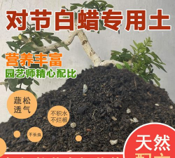 种白蜡用什么土