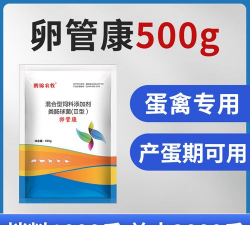 鸡的输卵管炎用什么药