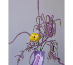 小众送妈妈的花有哪些花