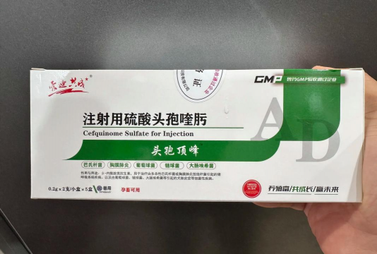 猪感冒发热用什么药