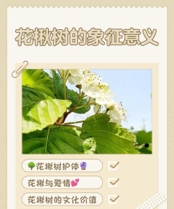 花楸树的象征意义
