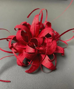 小众送妈妈的花有哪些花