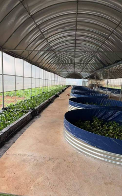 目前养殖什么前景最好