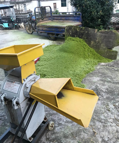 小众送妈妈的花有哪些花