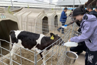 小众送妈妈的花有哪些花