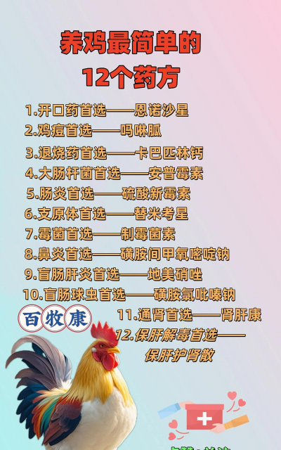 鸡要补充什么维生素 鸡要补充什么维生素