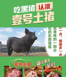 壹号土猪是什么猪种