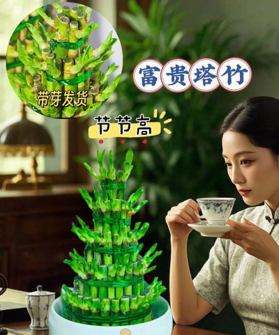 小众送妈妈的花有哪些花
