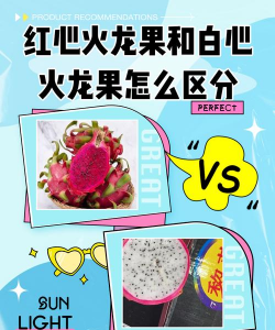 火龙果红心和白心区别