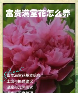 小众送妈妈的花有哪些花