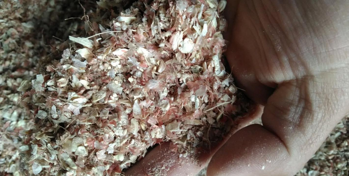 小众送妈妈的花有哪些花