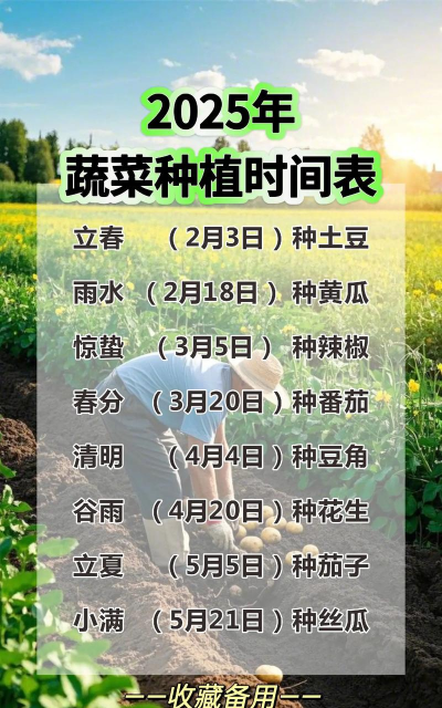 艿芋什么时候播种