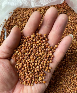 小众送妈妈的花有哪些花