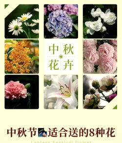 小众送妈妈的花有哪些花