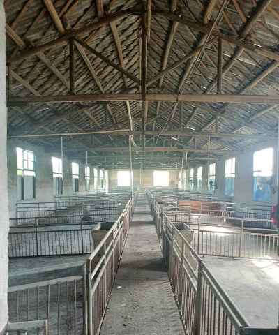 小众送妈妈的花有哪些花