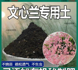 小众送妈妈的花有哪些花