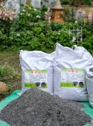 小众送妈妈的花有哪些花