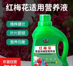 小众送妈妈的花有哪些花