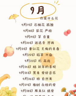 9月生是什么花